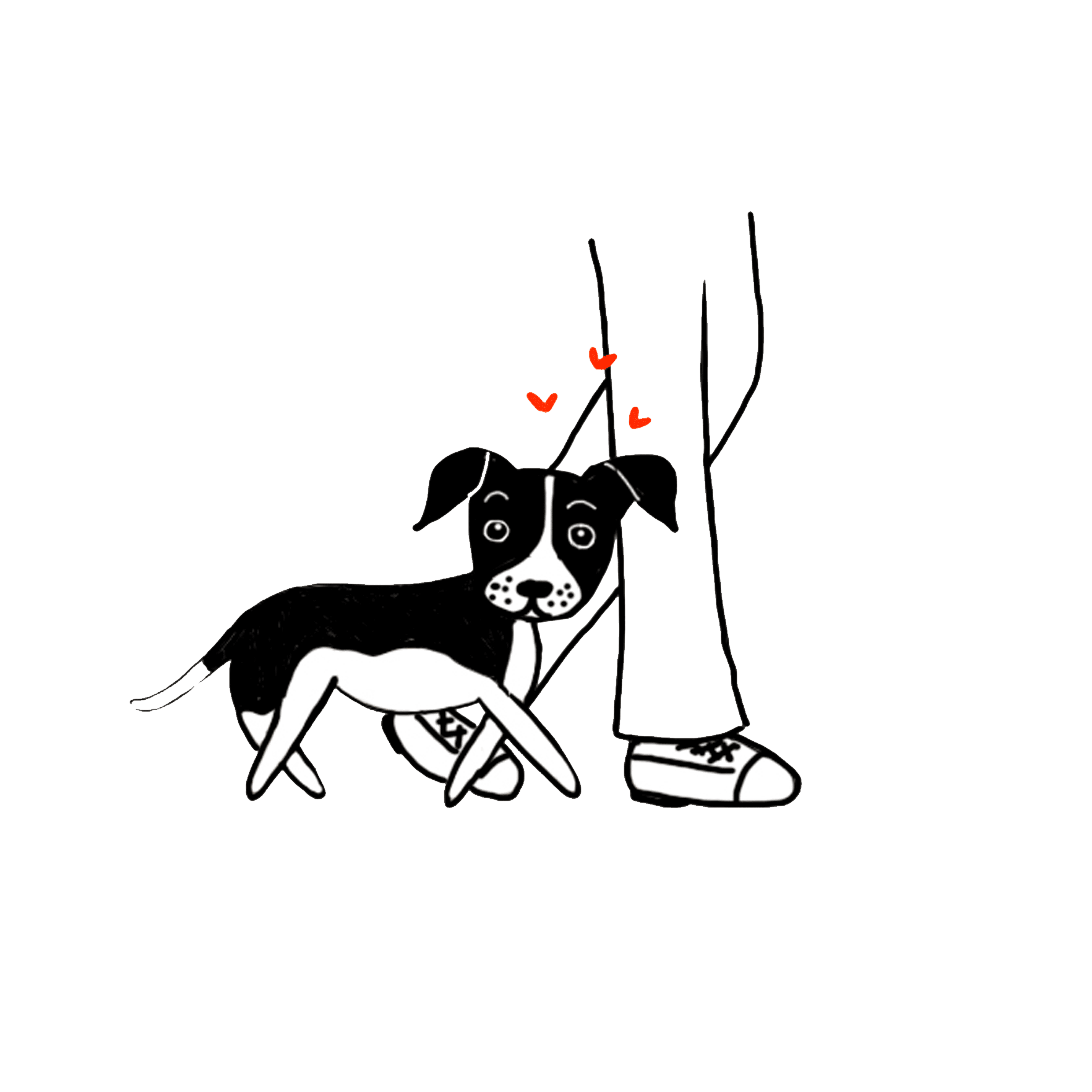 Curso Va de Cachorros - PAT EDucadora canina