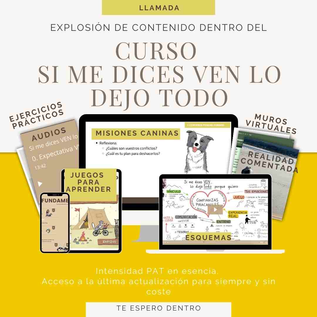 curso-llamada