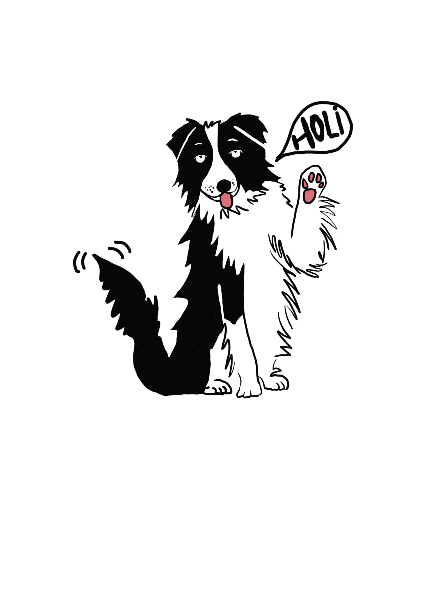 Curso Perro Joven - PAT Educadora Canina