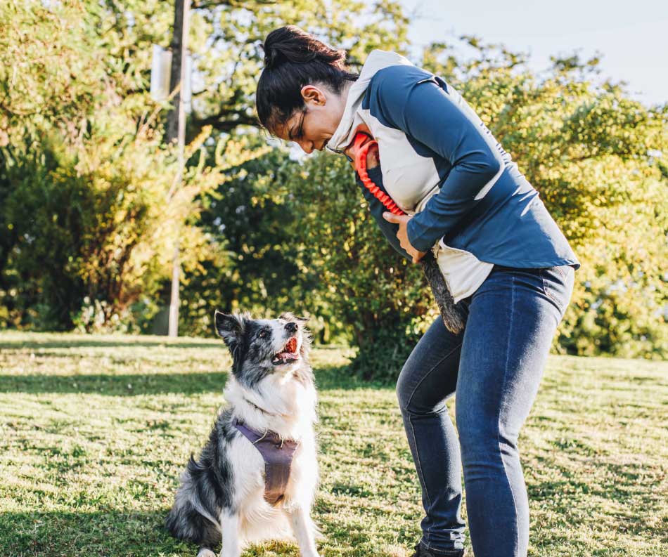 Perro adoptado