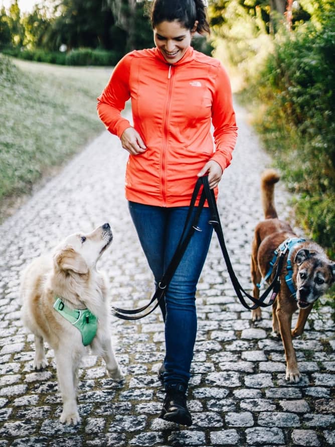 Paso a paso para un perro urbano y feliz