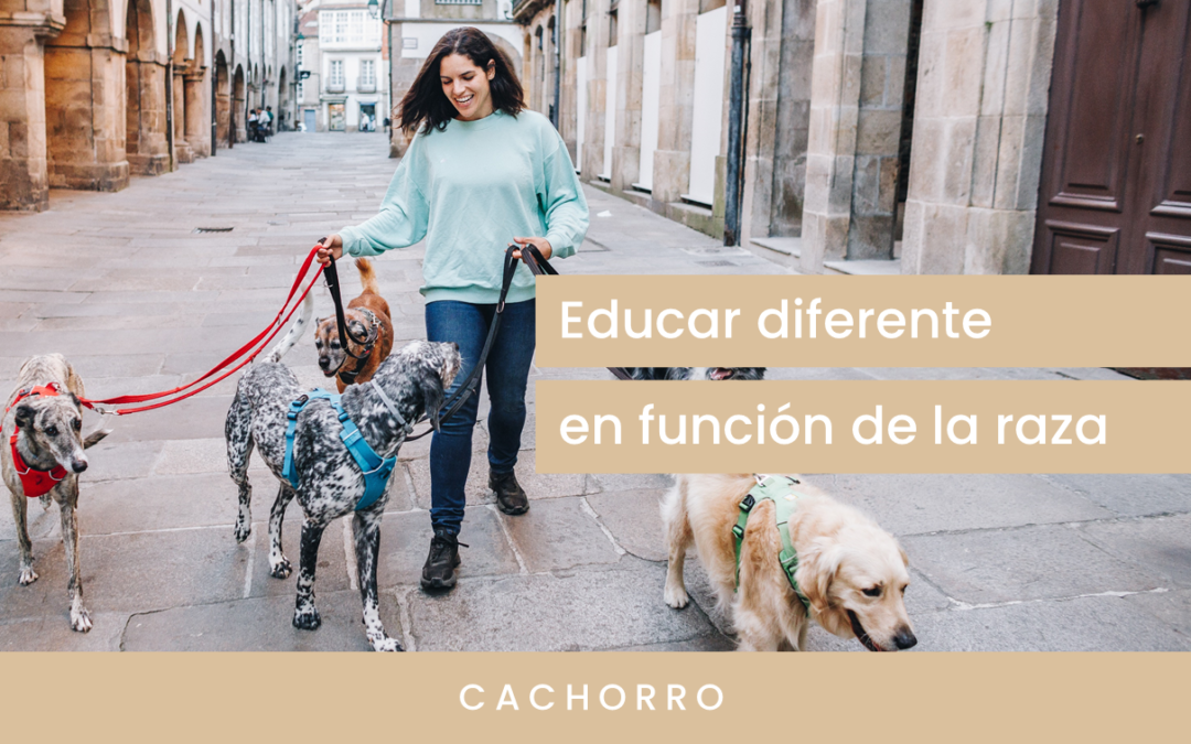 Educar según la raza