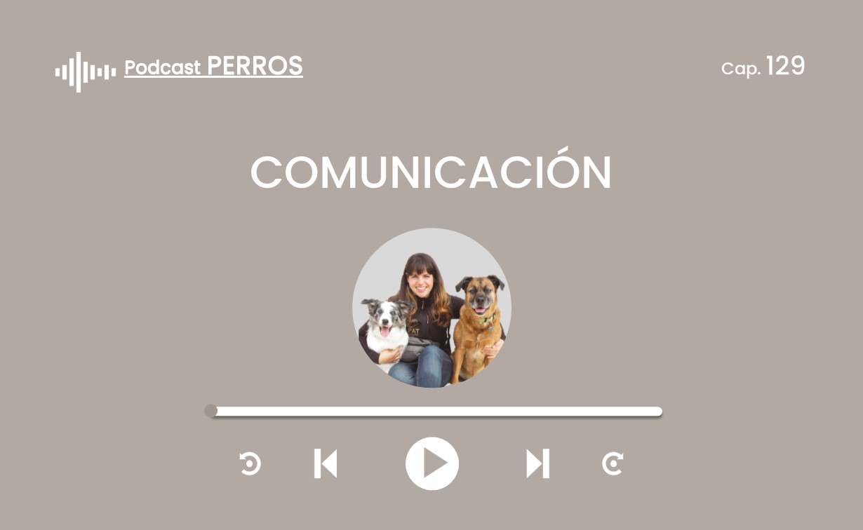 Perros, Naturaleza y Humanos