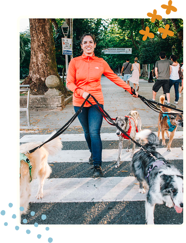 Ropa - Cinturón de Explorador Canino (2) Pat Educadora Canina