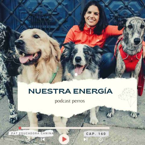 Capítulo 160- Nuestra energía