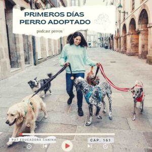 Perros, Naturaleza y Humanos