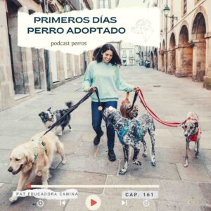 Capitulo 161. Primeros días perro adoptado