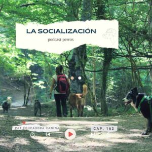 Capítulo 162- Socialización