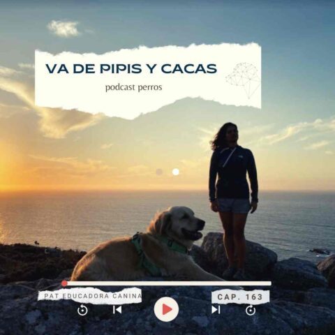 Capítulo 163. ¿Cómo enseñar a mi cachorro a hacer pipi fuera de casa?