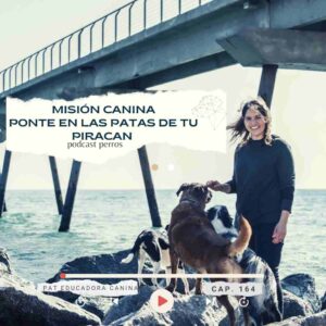 Perros, Naturaleza y Humanos