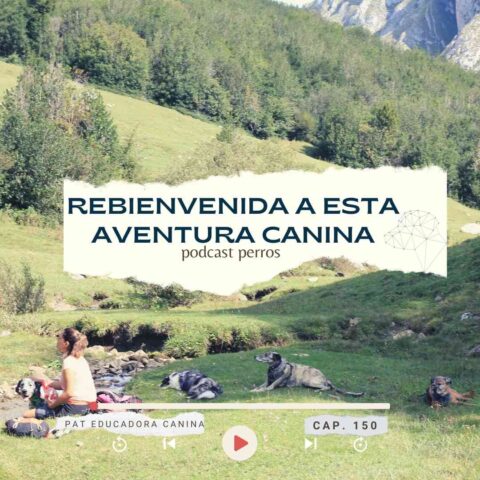 Capítulo 150- Rebienvenidos a esta aventura canina