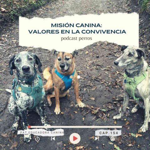 Capítulo 154 . MISIÓN CANINA- Valores en el conVIVIR