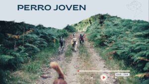 El perro adolescente – joven – Capítulo 170