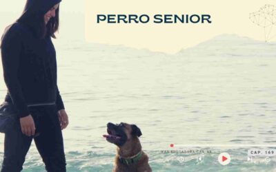 Capítulo 166- Perro senior