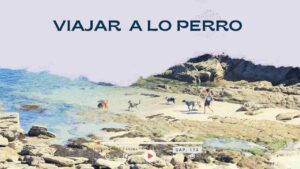 Perros, Naturaleza y Humanos