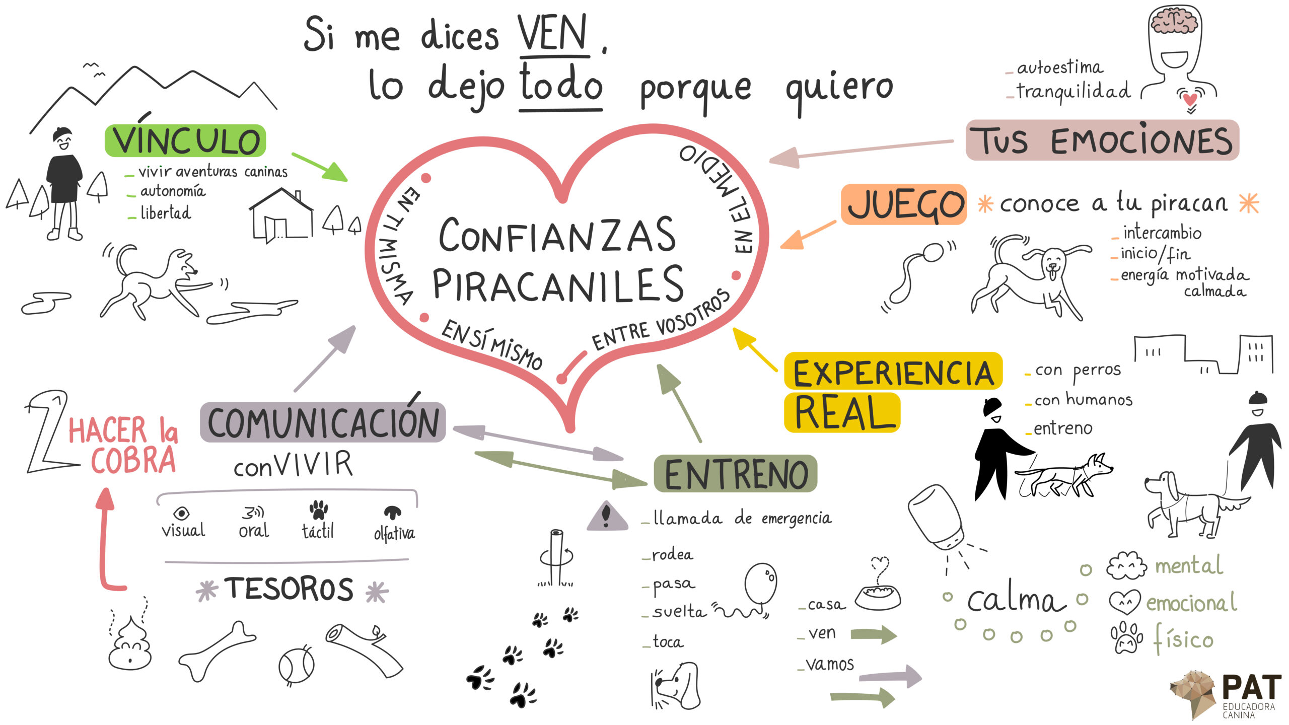 Si me dices ven