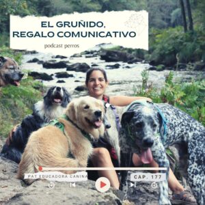 El gruñido, un regalo comunicativo – Capítulo 177