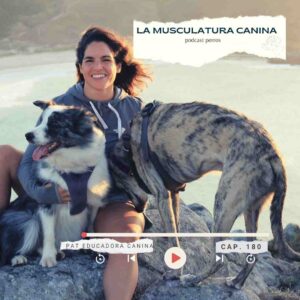 Perros, Naturaleza y Humanos