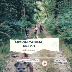 Misión canina- ESTAR