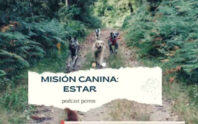 Misión canina- ESTAR