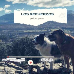 Refuerzos- Capítulo 180