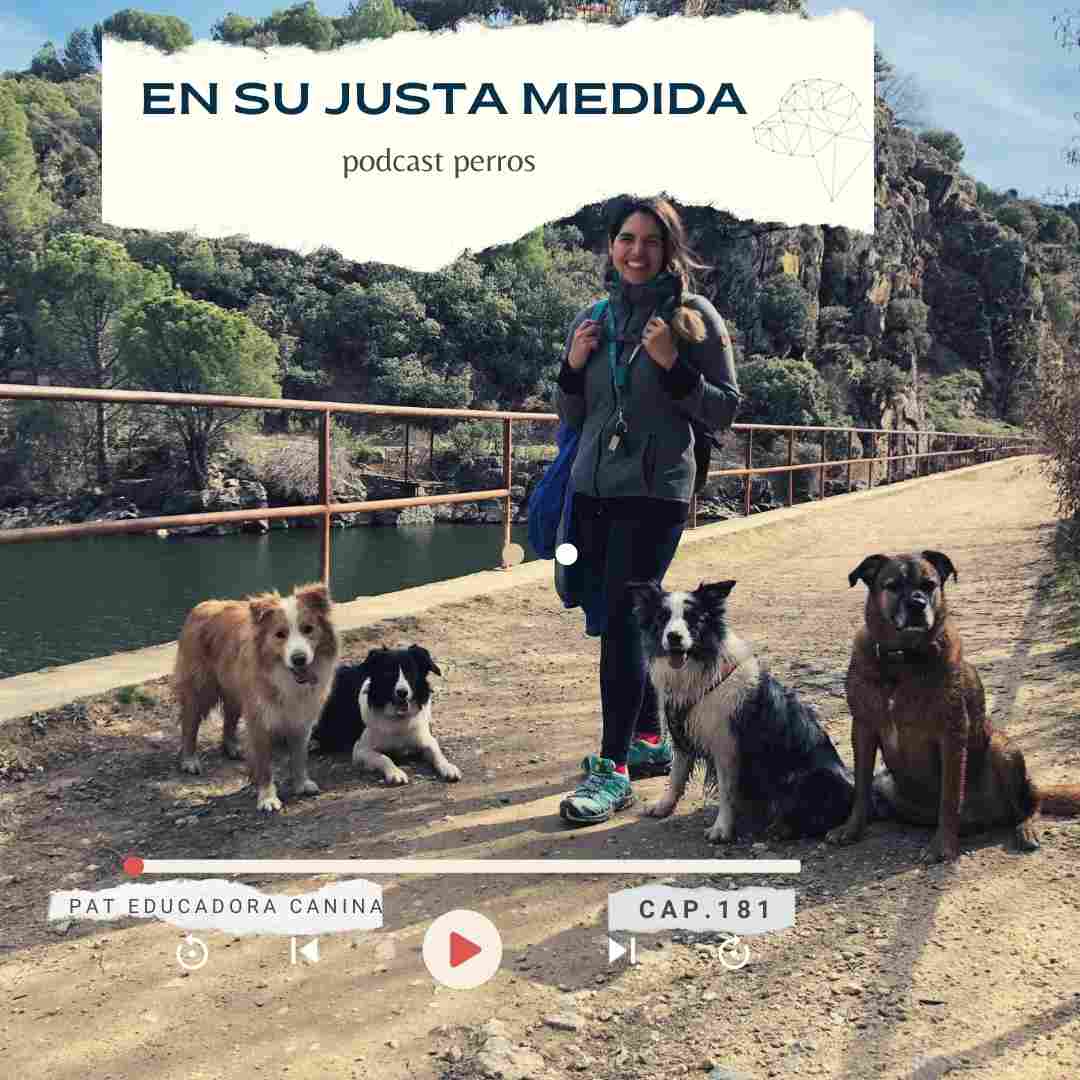 En su justa medida- Capítulo 181