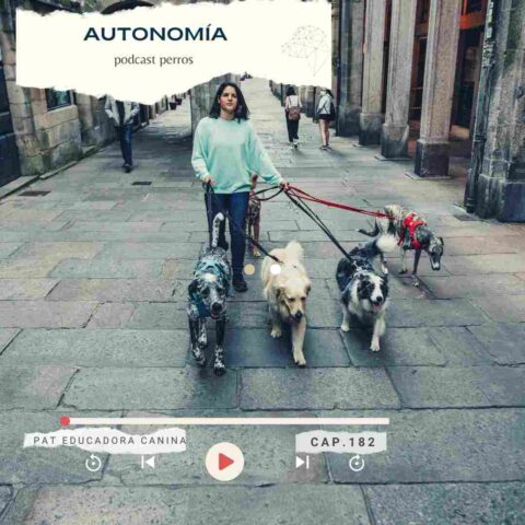 Autonomía canina- capítulo 182