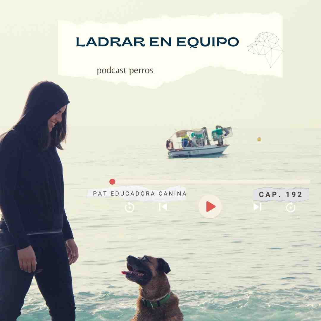 ¿Qué hacer si mis perras ladran en equipo? – Capítulo 192
