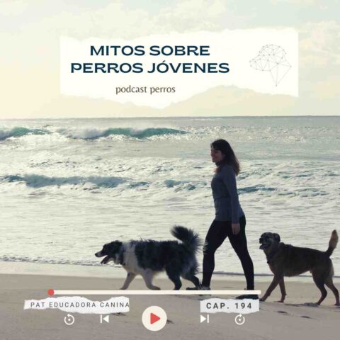 Mitos sobre perros jóvenes- Capítulo 194