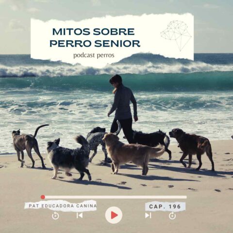 Mitos perro de Oro (senior) + la realidad de conVIVIR – Capítulo 196