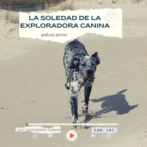 La soledad de la exploradora canina- Capítulo 197