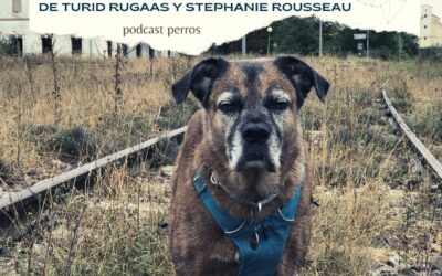 ¿Cómo criar al cachorro en casa? Turid Rugaas- Resumen- Capítulo 200