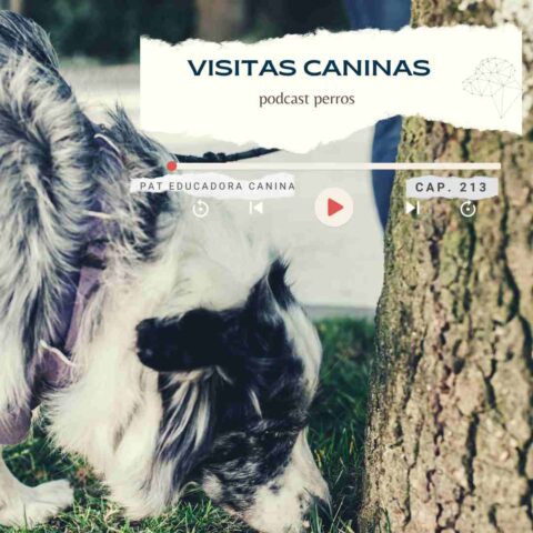 Visitas caninas- capítulo 213