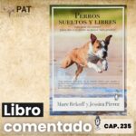 Comentario libro ‘Perros sueltos y libres’ de Marc Bekoff y Jessica Pierce