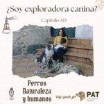 ¿Soy exploradora canina? - Capítulo 243