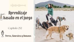 Descubre Como Aprenden Los Perros