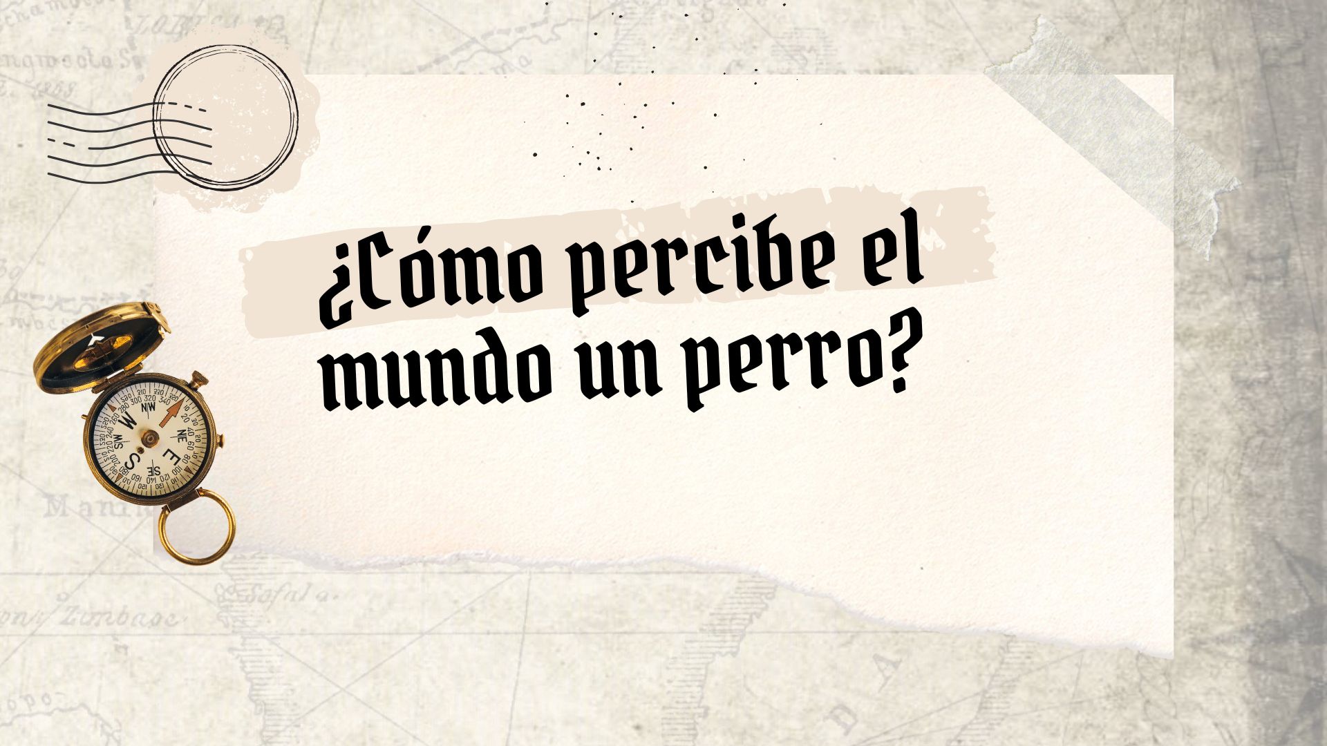 ¿Cómo percibe el mundo el perro? – Clase 4 Aventura canina